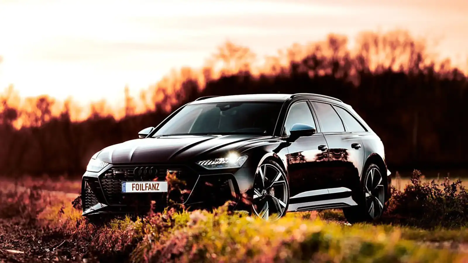 Chrome Delete Audi