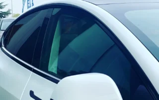 Chrome Delete witte Tesla